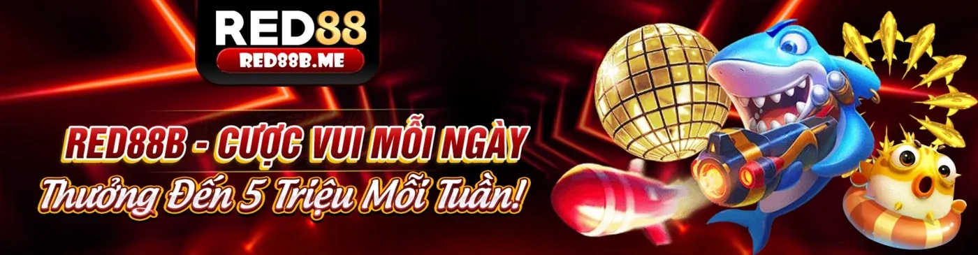 Ứng dụng EV88VN trên điện thoại di động