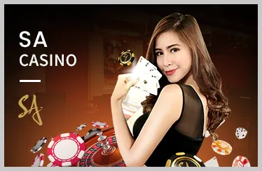 Chương trình VIP EV88VN